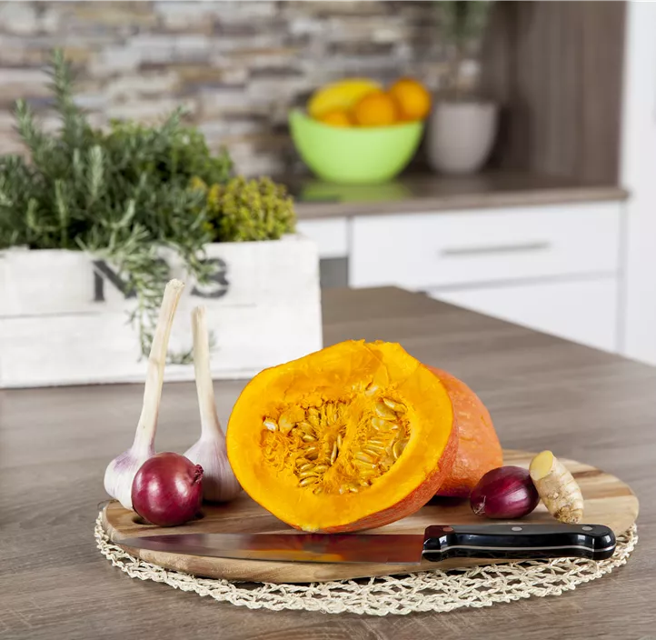 Speisekürbis Hokkaido