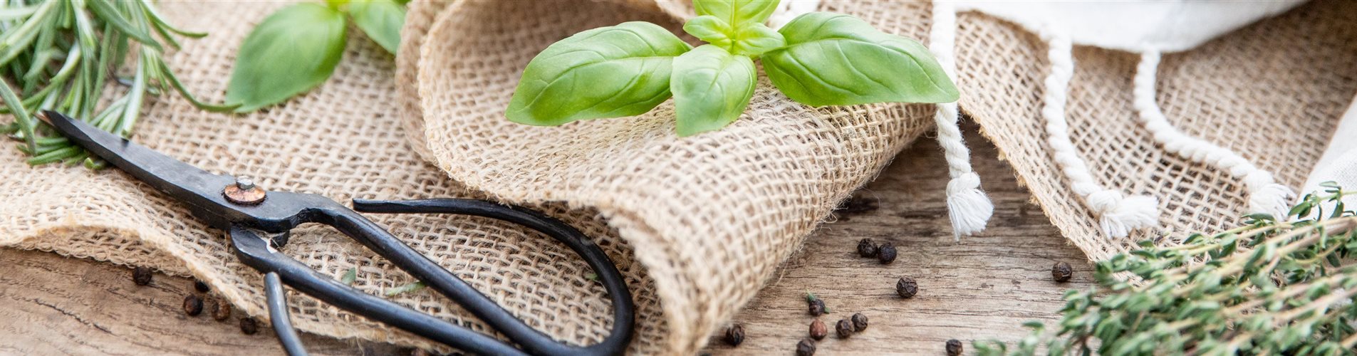 Mediterrane Kräuter im Ambiente Mediterrane Kräuter im Ambiente