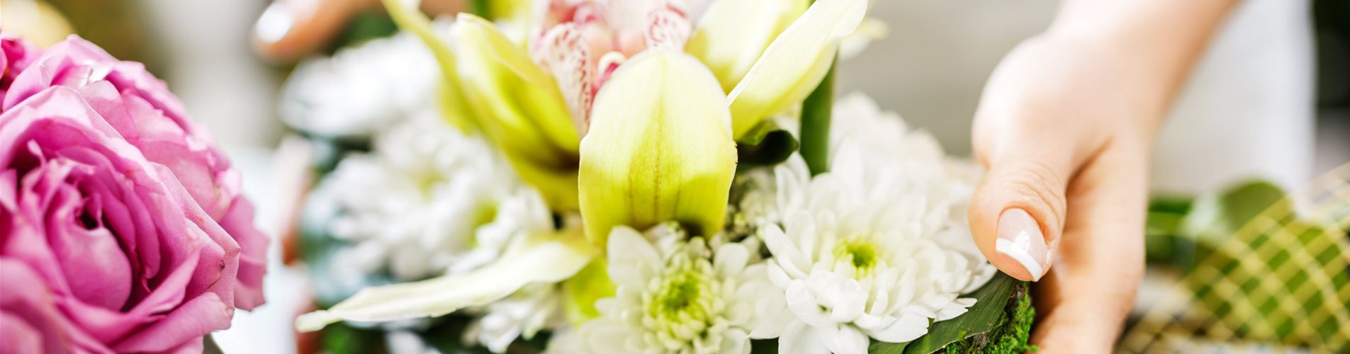 iStock-463375835-657-0-5102-2869 iStock-463375835-657-0-5102-2869