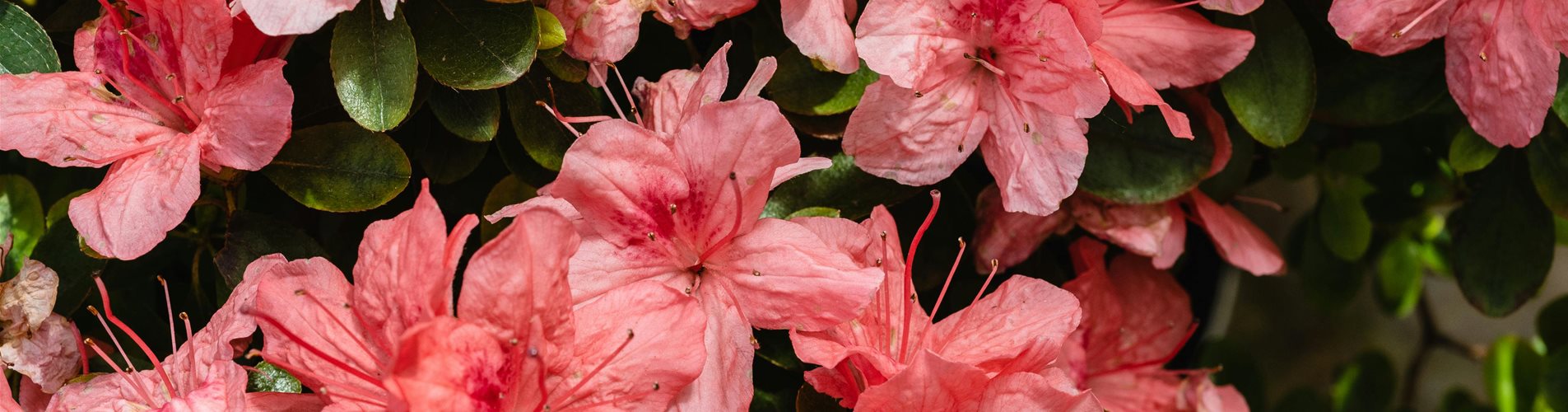 pexels-marina-leonova-7718158 pexels-marina-leonova-7718158