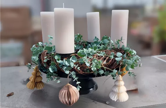 Bild skandinavisch.png