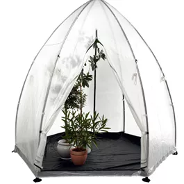 Foliengewächshaus Tropical Island L