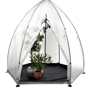 Foliengewächshaus Tropical Island L