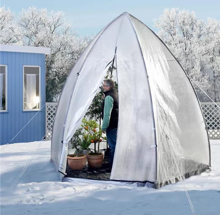 Foliengewächshaus Tropical Island L