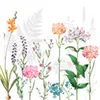 bellaflora Gartencenter GmbH