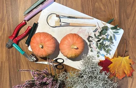 Bild Das brauchst du.jpg