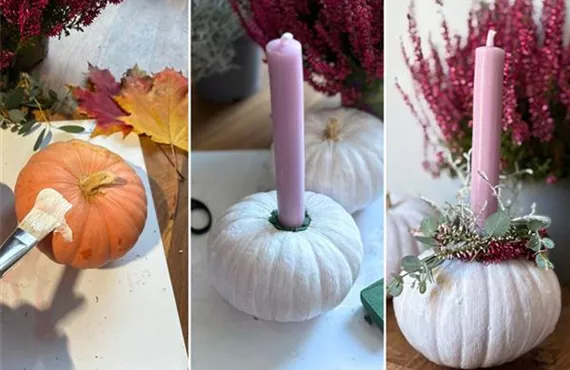 Bild So funktionierts.jpg