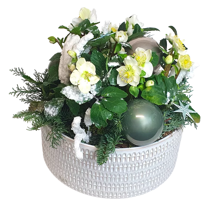 Arrangement Schneerose