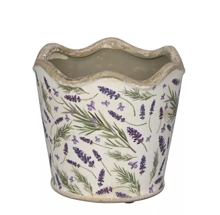 Topf Lavendel Wellenrand