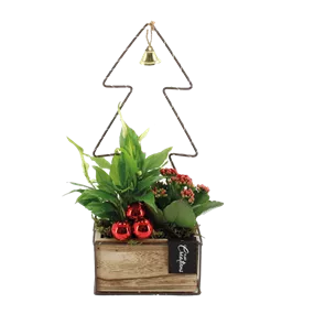 Arrangement Tannenbaum LED