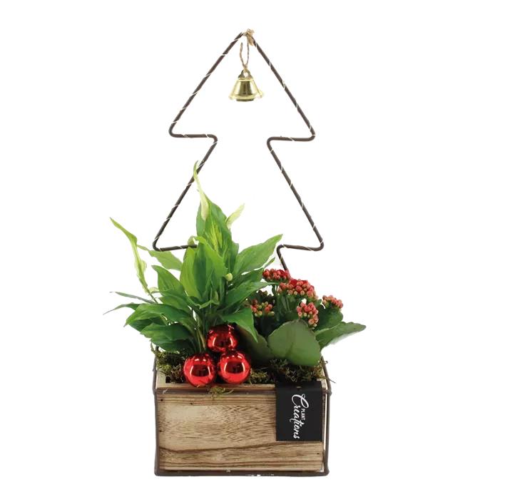 Arrangement Tannenbaum LED