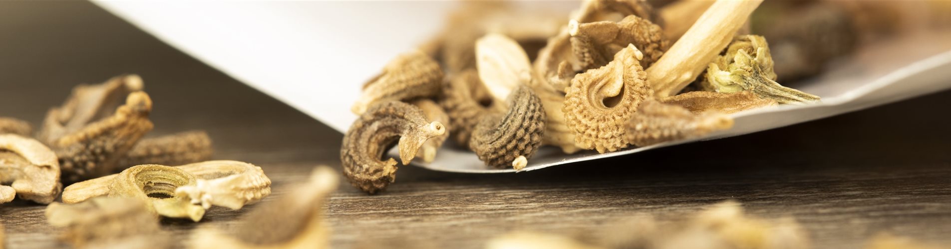 Ringelblumensamen mit Verpackung