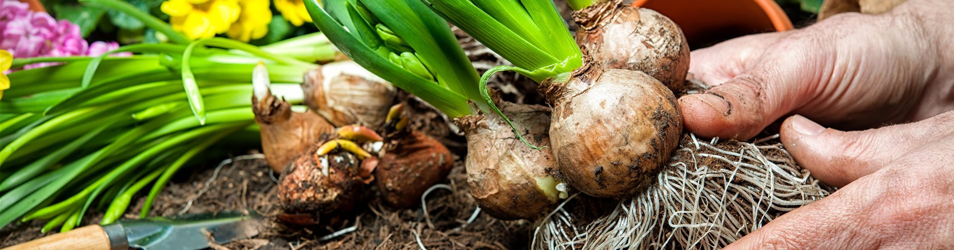 AdobeStock_78438608 (1)-0-0-6048-4032