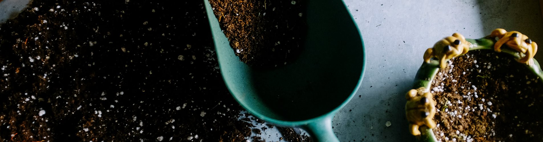 neslihan-gunaydin-BduDcrySLKM-unsplash (1)