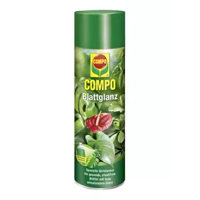 COMPO Blattglanz