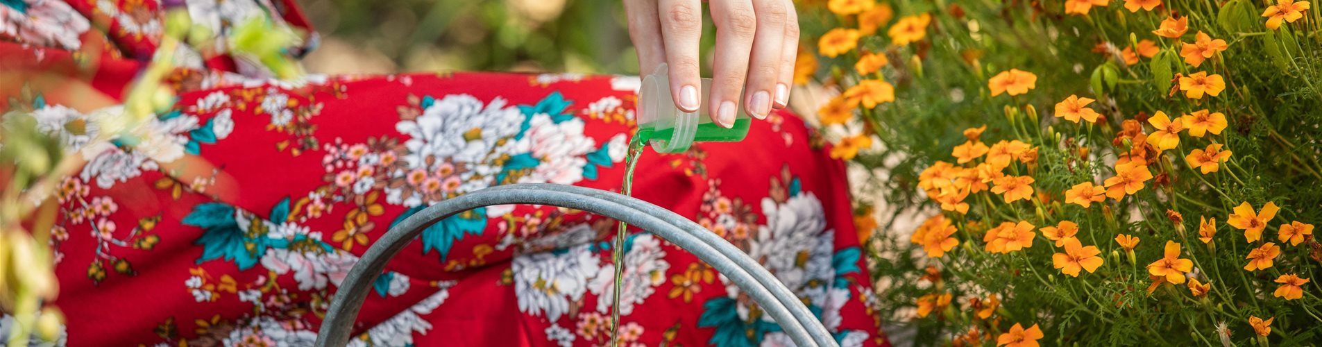 GS671886_Dünger - Flüssigdünger in Gießkanne geben_