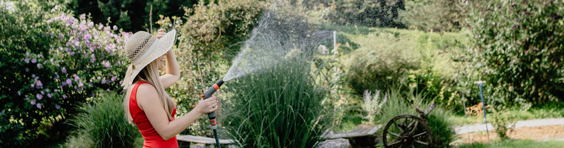 bellaflora-sommer-studiosoco-88_Headerbild-274-816-3442-5160 bellaflora-sommer-studiosoco-88_Headerbild-274-816-3442-5160