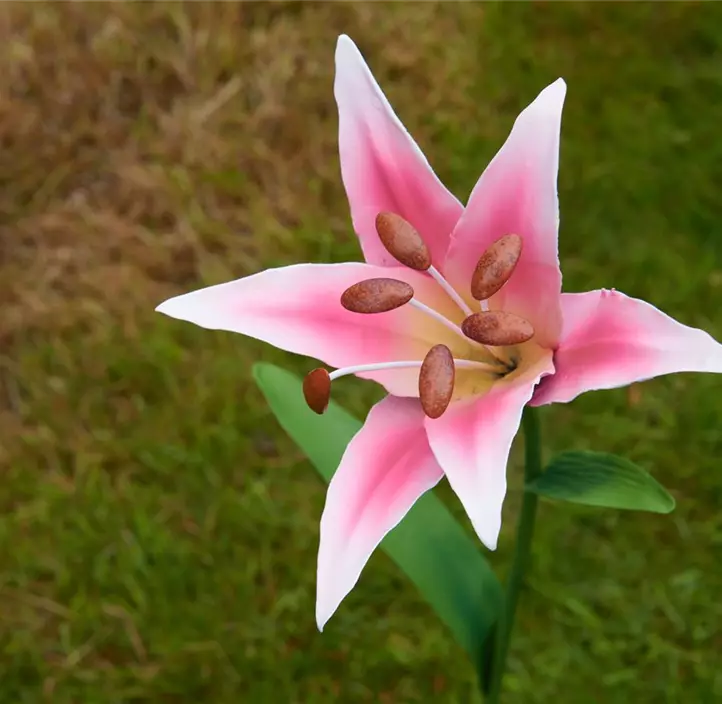 Gartenstab Flower Power