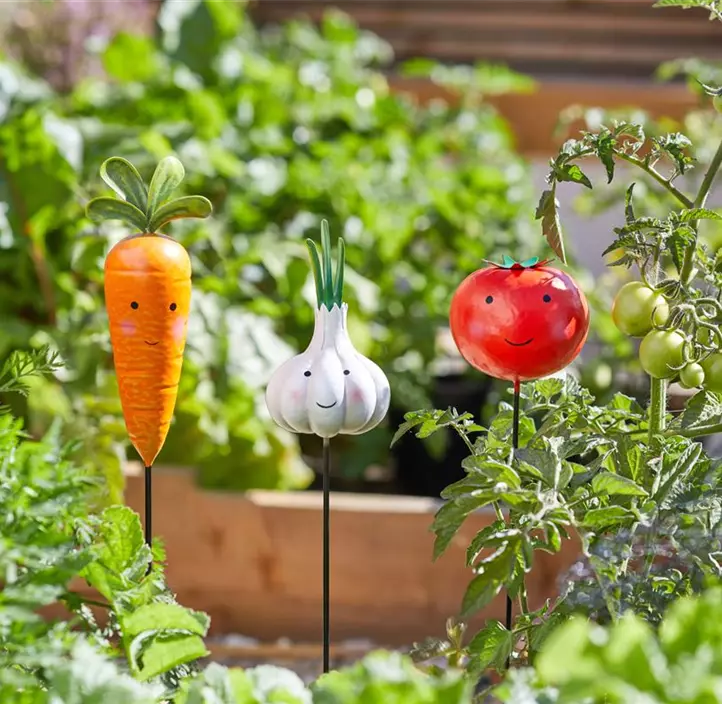 Gartenstecker Gemüse