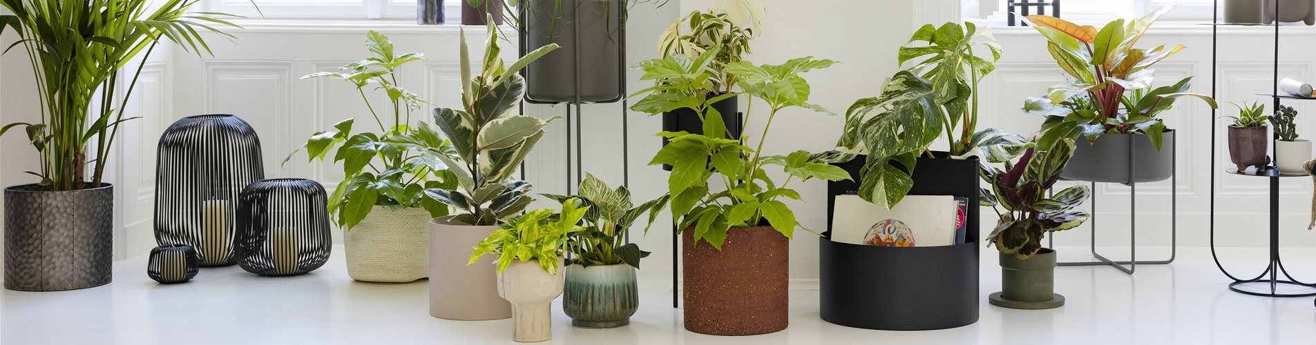 03_JH31657_header-405-1389-6109-4074