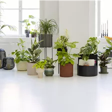 Pflanzgefäße & Blumentöpfe