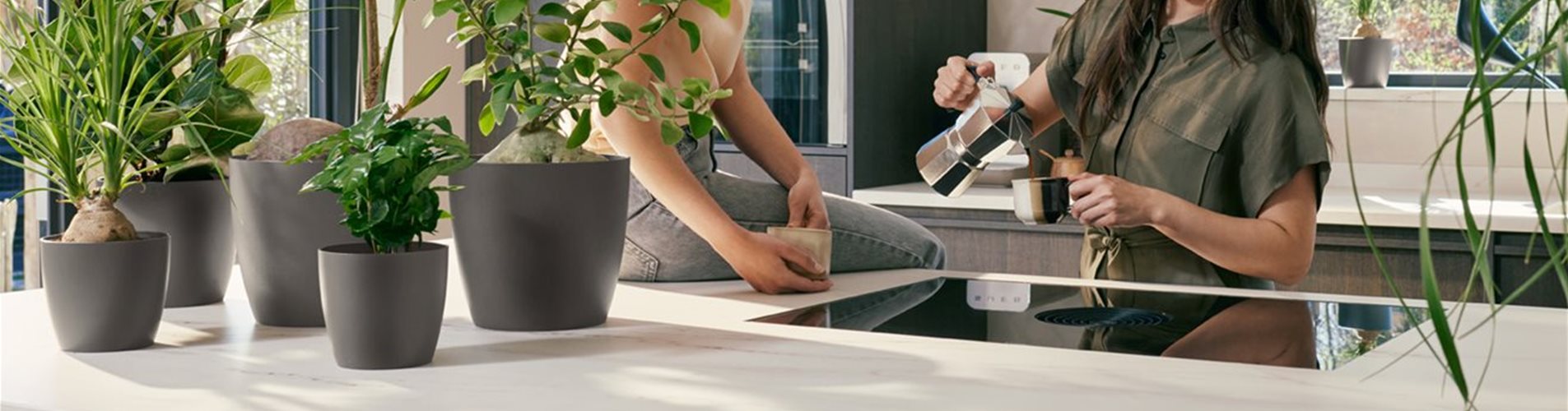 elho-coffee-collection-01_header-0-258-1578-1052 elho-coffee-collection-01_header-0-258-1578-1052