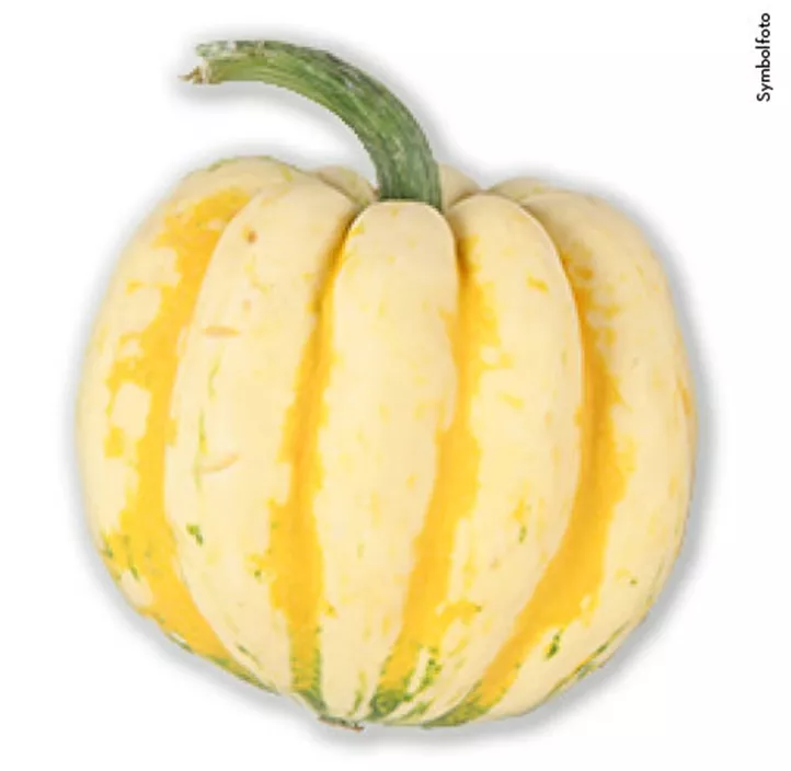 Speisekürbis Karneval