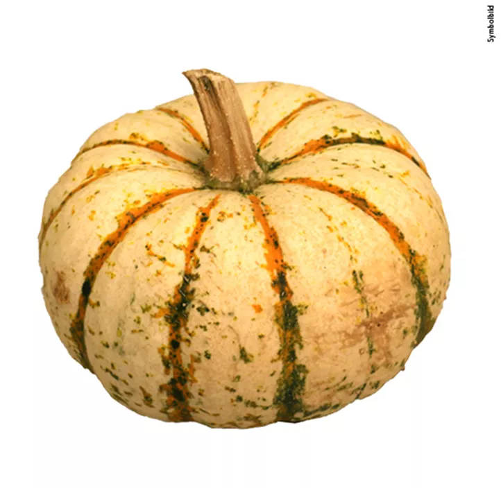 Speisekürbis Sam Bicolor/Pump Ke Mon