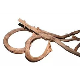 Bananenrindenstreifen