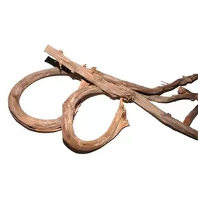 Bananenrindenstreifen