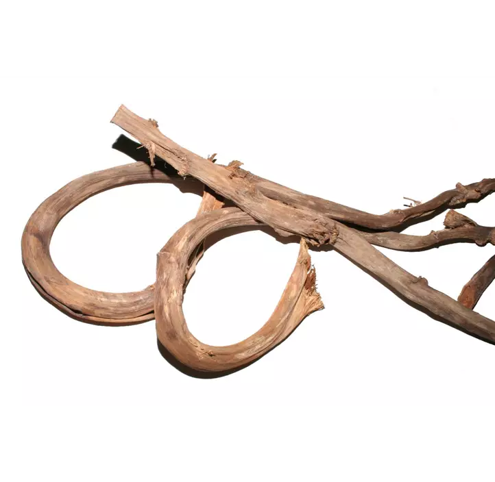 Bananenrindenstreifen