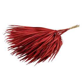 Palmblatt Chamerops 10Stk Bd.