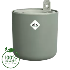 Anzuchttopf für Avocados