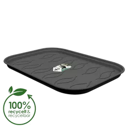 Green basics Anzucht Untersetzer