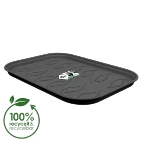 Green basics Anzucht Untersetzer