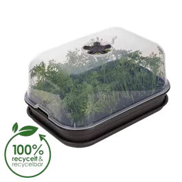 Green Basics Anzuchthaus M