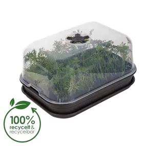 Green Basics Anzuchthaus M