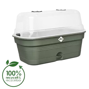 Green Basics Anzucht-Kisterl mit Haube all-in-1