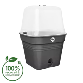 Green Basics Anzuchttopf mit Haube all-in-1