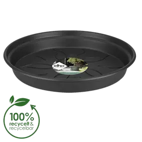 Untersetzer Green Basics