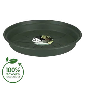 Untersetzer Green Basics, grün