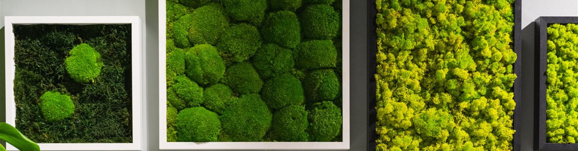 2023-06-salon-verde-kettenbrueckengasse-by-marion-payr-137-0-176-1400-787