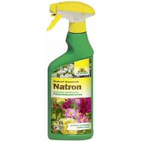 BioKraft Grundstoff Natron