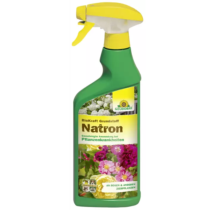 BioKraft Grundstoff Natron