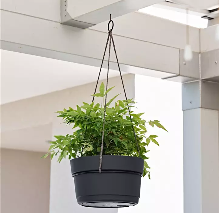 Blumenampel Flying inkl. Wasserreservoir