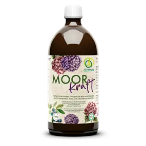 Moorkraft