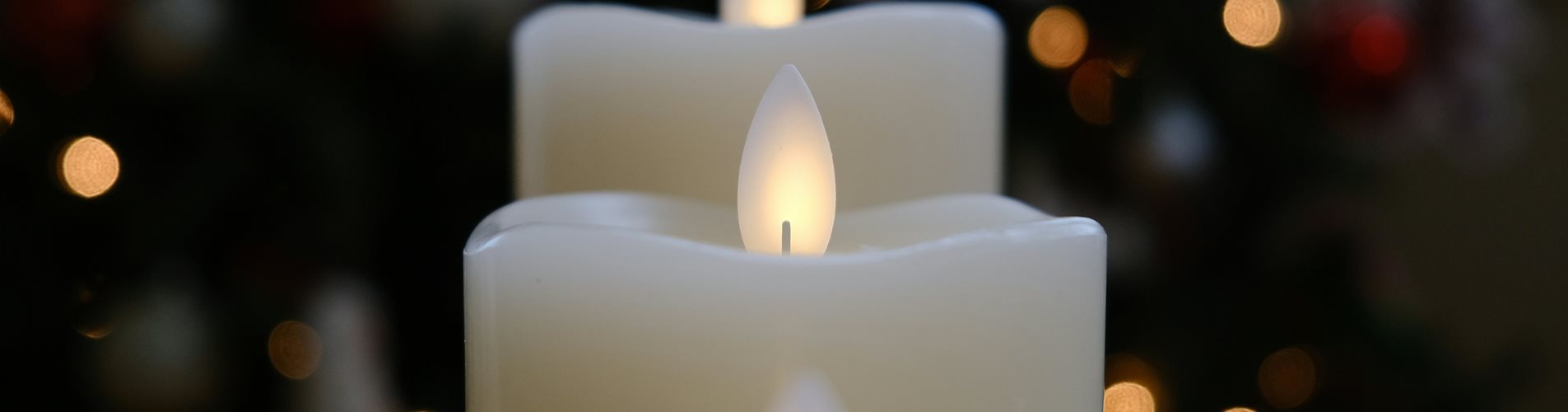 reeet-jank-79edhXloJUs-unsplash-0-416-6240-3510 reeet-jank-79edhXloJUs-unsplash-0-416-6240-3510