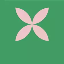 Arrangements und Schnittblumen