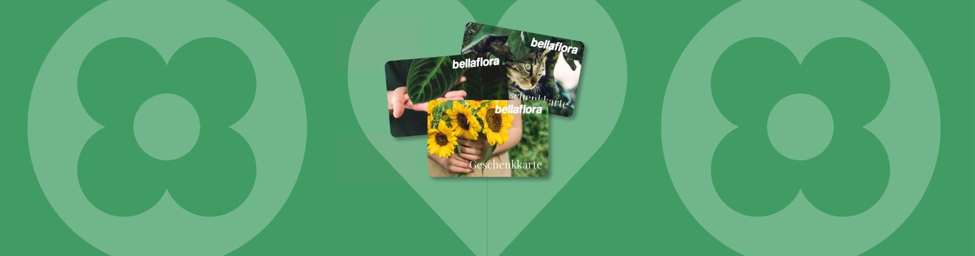 Header Geschenkkarten Header Geschenkkarten