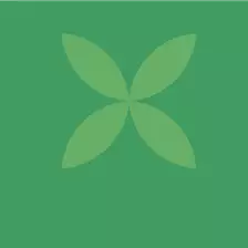 Zimmerpflanzen für dein Herzblatt